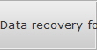 Data recovery for Marble data